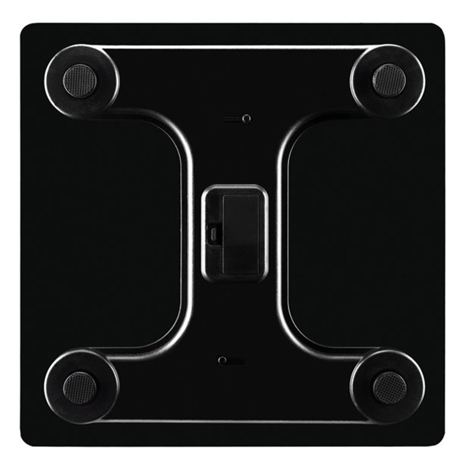 Body fat scale with BMI and muscle mass